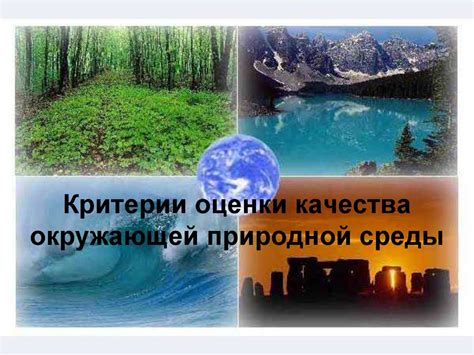 индикаторы экологического состояния окружающей среды критерии оценки качества окружающей среды